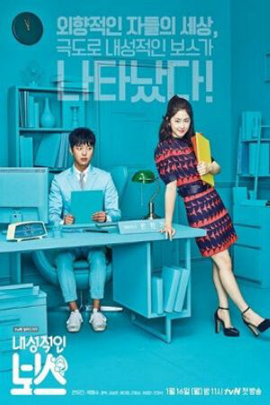 Phim Ông Chủ Bí Ẩn Thuyết Minh - Introverted Boss