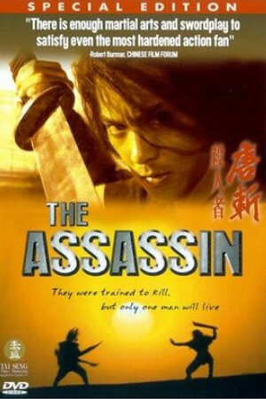 Phim Sát Thủ Thần Thám Lồng Tiếng - The Assassin