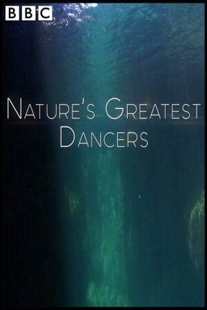 Phim Những Vũ Công Cừ Khôi Của Tự Nhiên Thuyết Minh - Natures Greatest Dancers