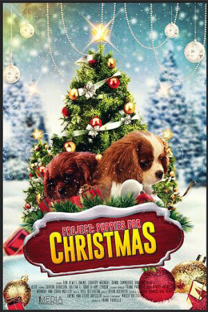 Phim Cún Con Cho Giáng Sinh Thuyết Minh - Project Puppies for Christmas (