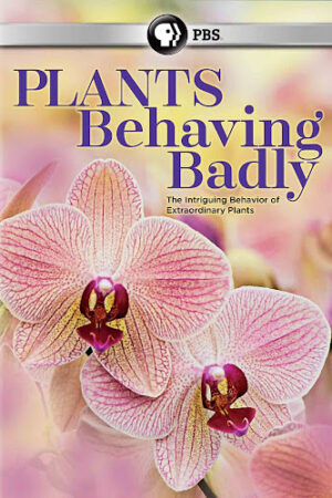 Phim Bí Ẩn Về Thực Vật Ăn Động Vật Thuyết Minh - Plants Behaving Badly