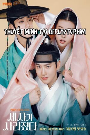 Phim Thế Tử Biến Mất Rồi Thuyết Minh - Missing Crown Prince