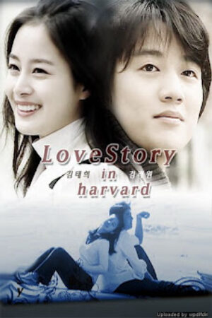 Phim Chuyện Tình Harvard Lồng Tiếng - Love Story In Harvard