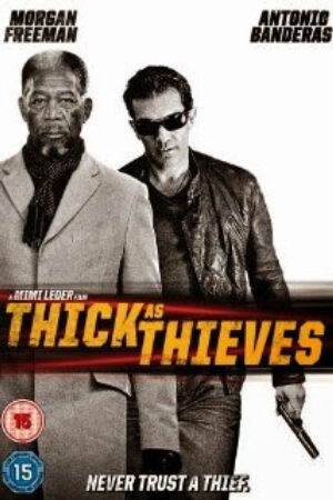 Phim Tin Vào Kẻ Trộm Thuyết Minh - Thick as Thieves