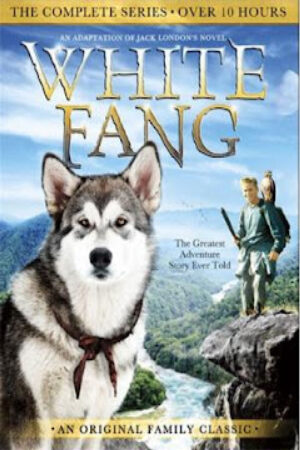 Phim Nanh Trắng Thuyết Minh - White Fang Season 1