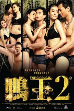 Phim Trai Bao 2 Thuyết Minh - The Gigolo 2