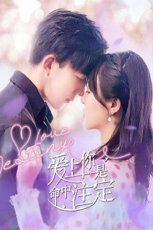 Phim Yêu Em Là Định Mệnh HD - Vietsub - Love Destiny